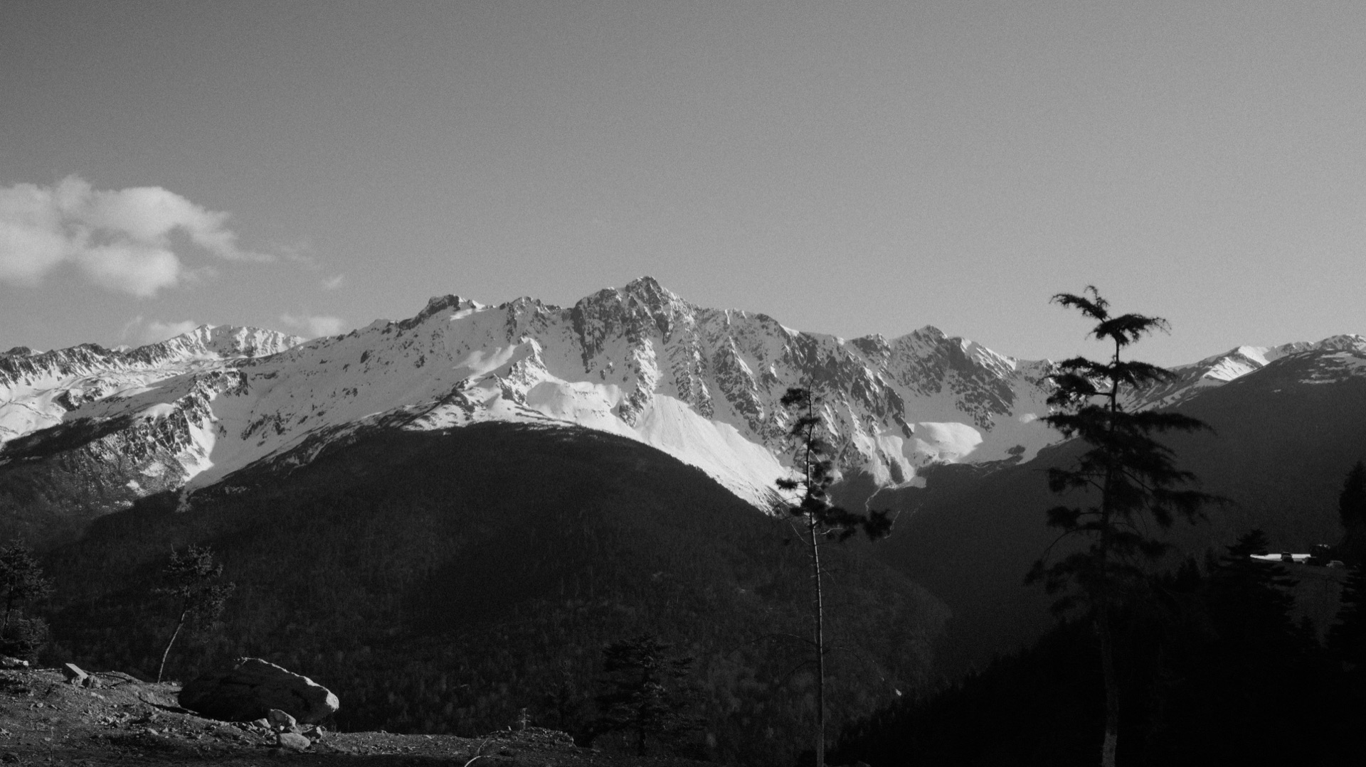 Snow-peak ridge above the forested slopes at Feilai Si — first arrival view of the Meili range from the Poodom lodge