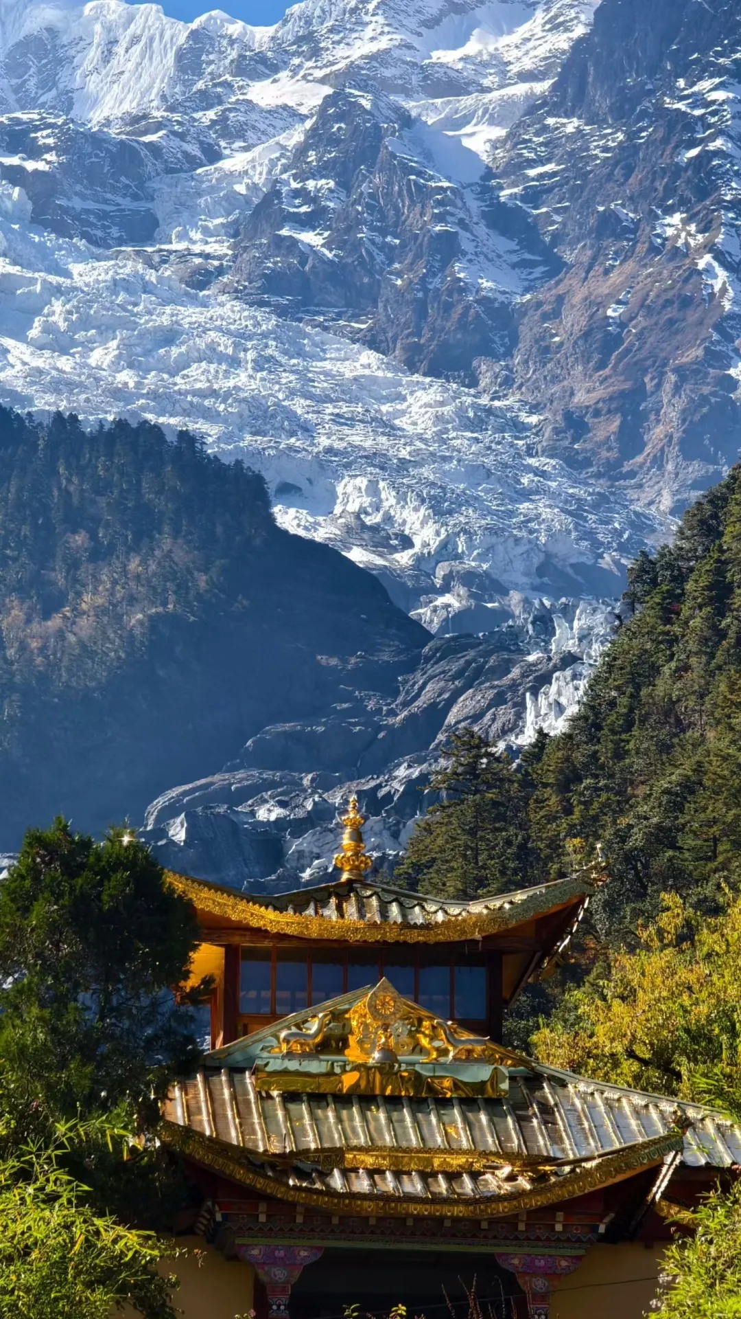 Golden Tibetan temple rooftop in the foreground with the Mingyong glacier and Meili snow peaks rising directly behind — the sacred relationship between monastery and mountain