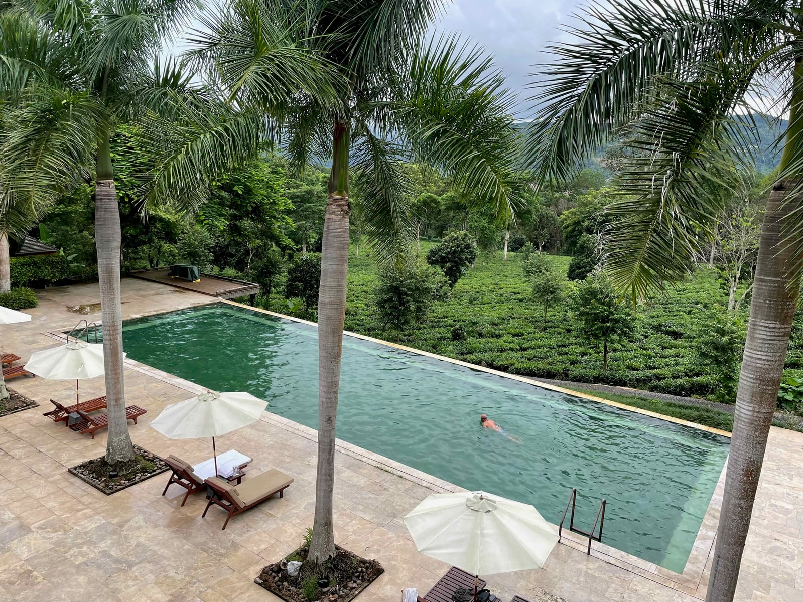 Swimming the infinity pool above the tea garden at the Bolian estate, Jingmai Mountain