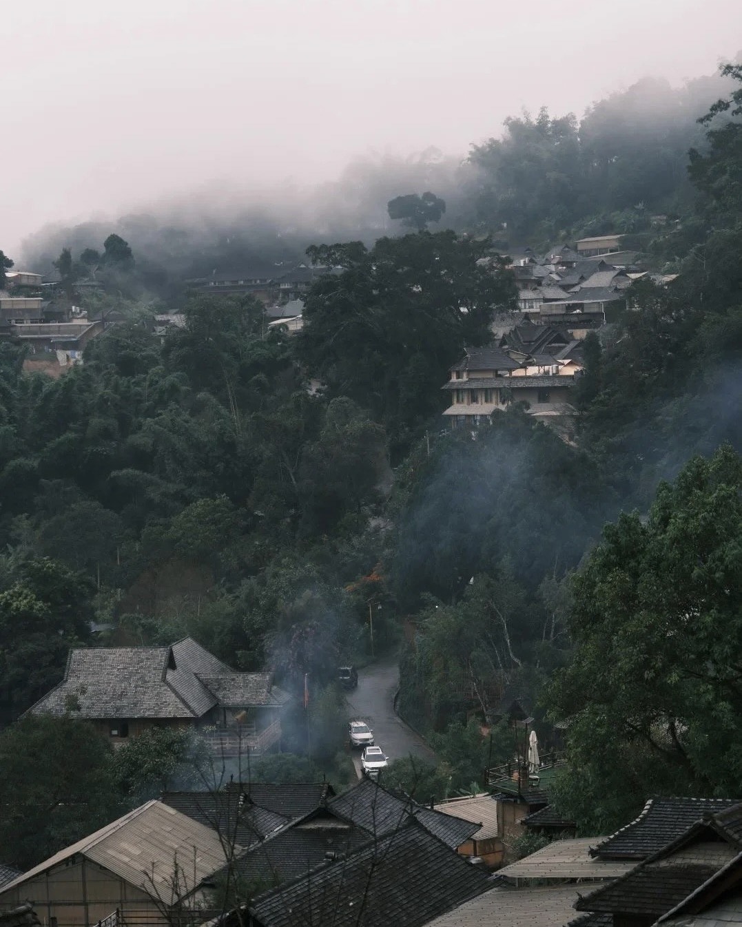 Timber rooftops of a traditional Bulang village at dawn in the mist, Jingmai Mountain