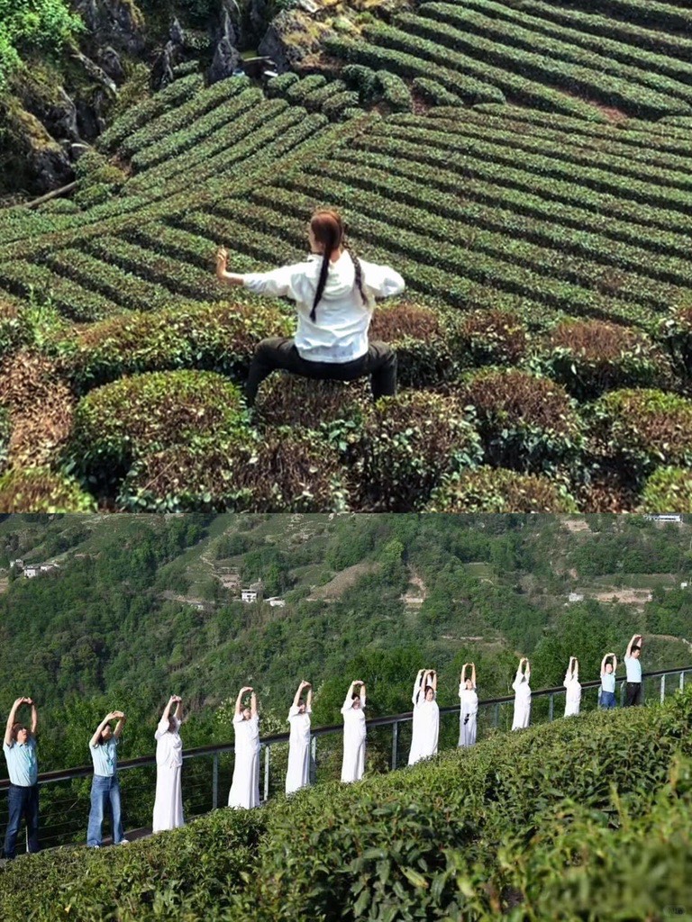 Morning taiji and stretching among the tea rows — slow mornings on a Yunnan tea journey