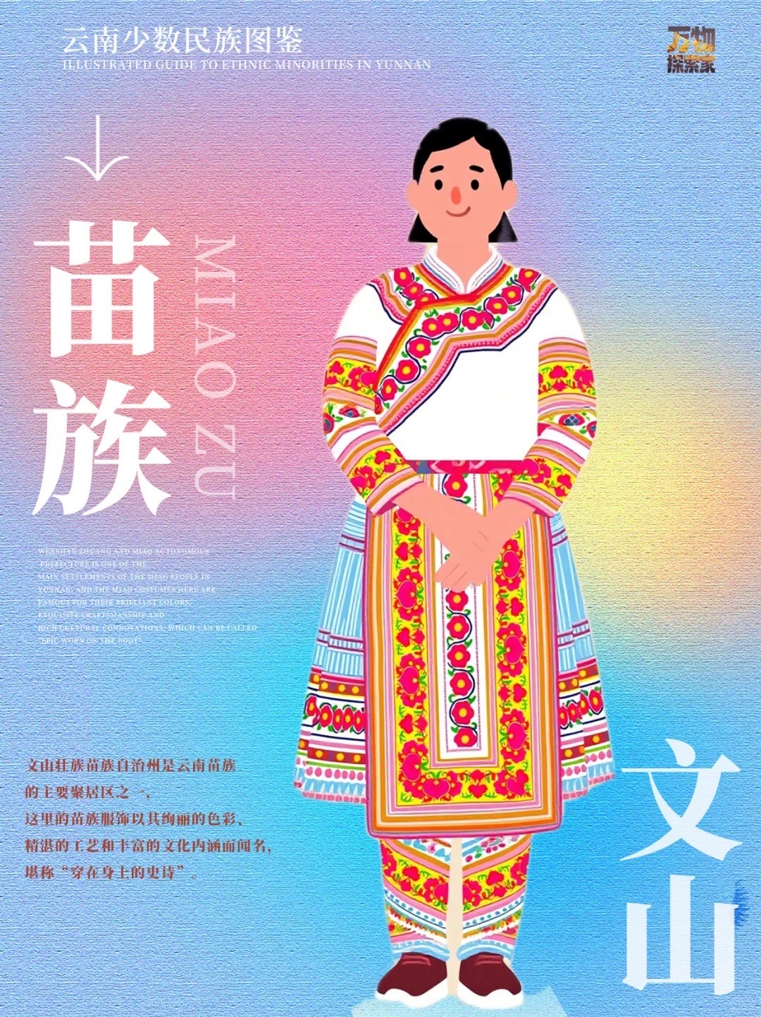Illustrated Miao woman of Wenshan in floral-embroidered white top and pleated apron