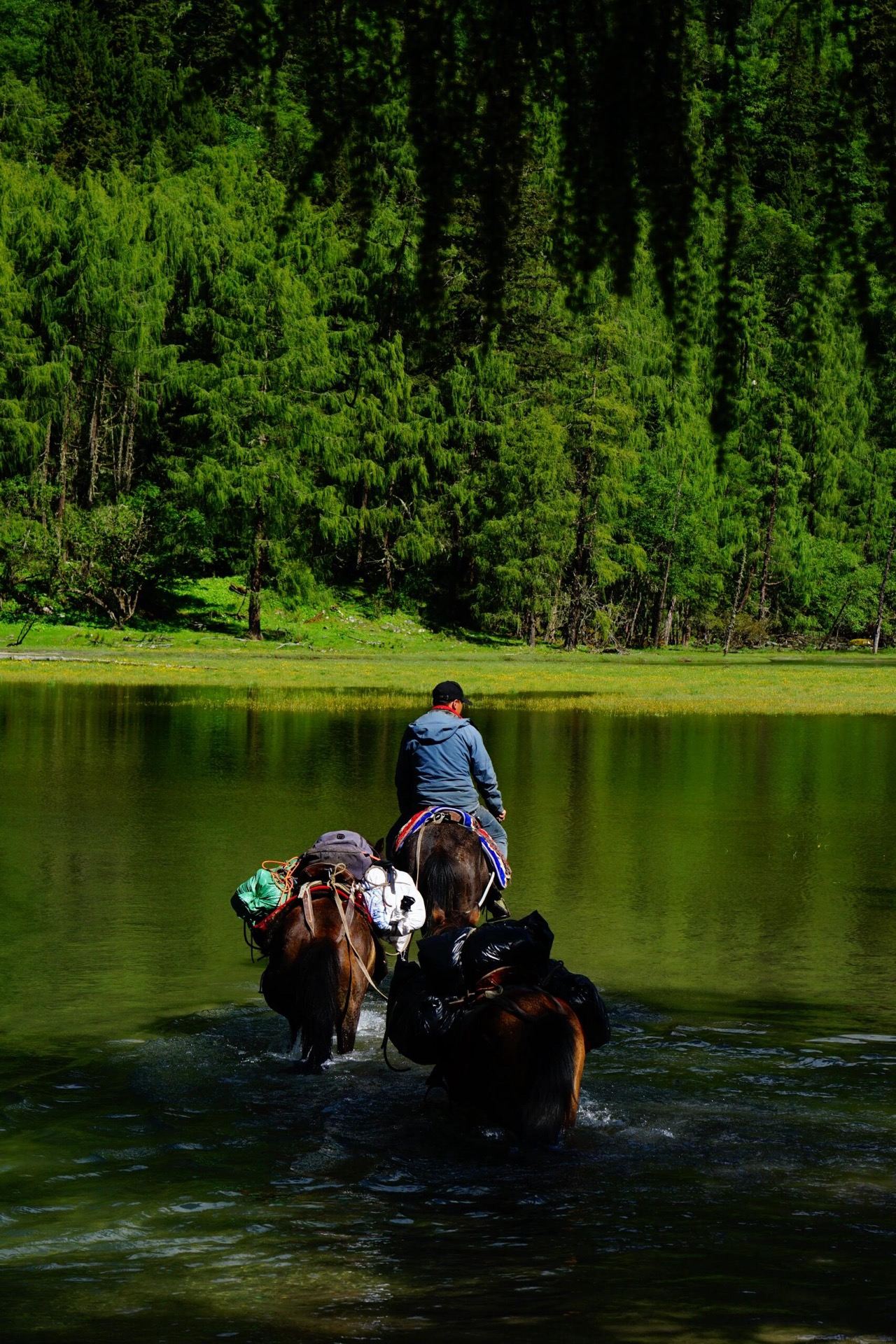 Pack horse crossing a river on the Siguniang traverse — gear support