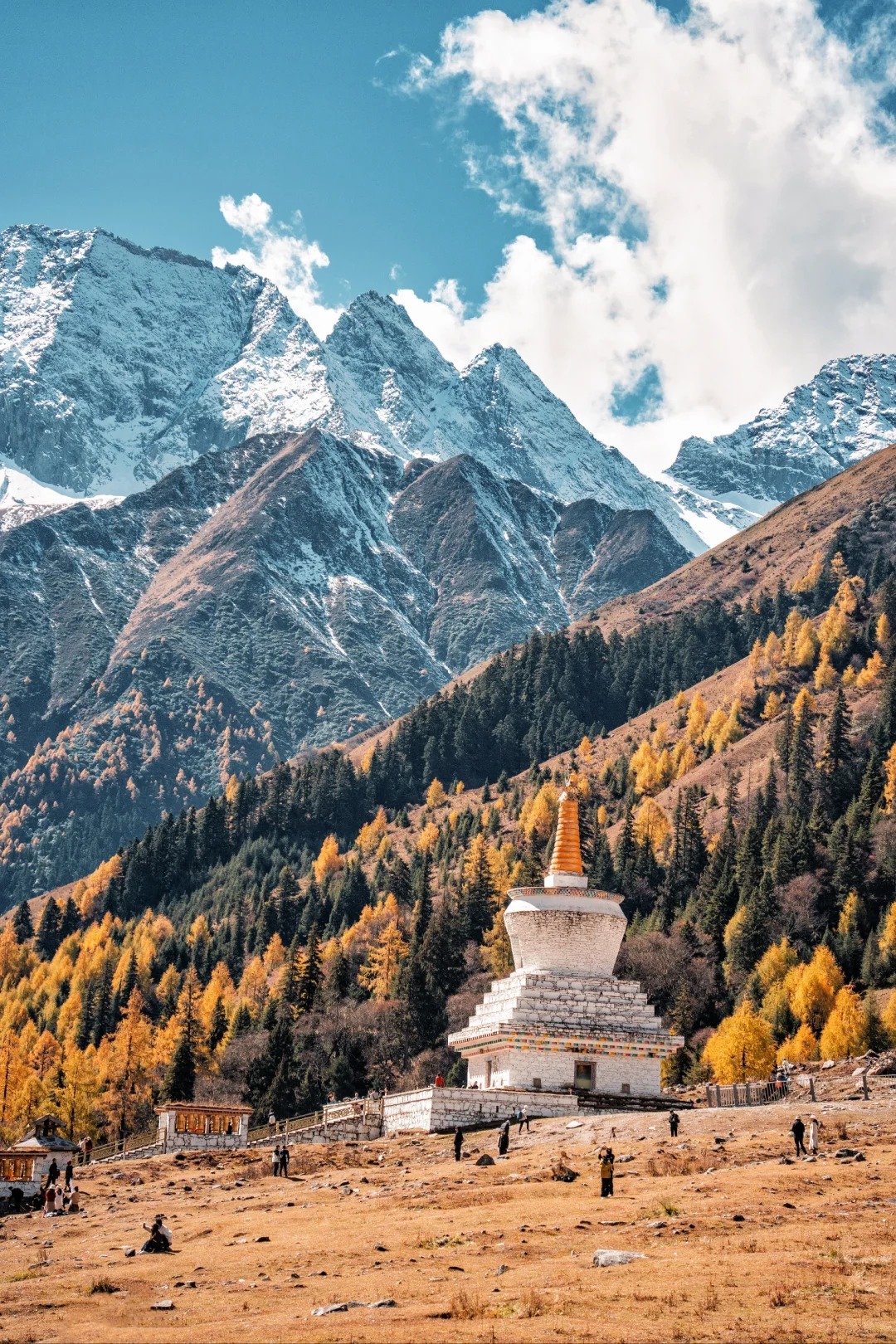 Autumn larch and Tibetan stupa in Changping Valley — Siguniang