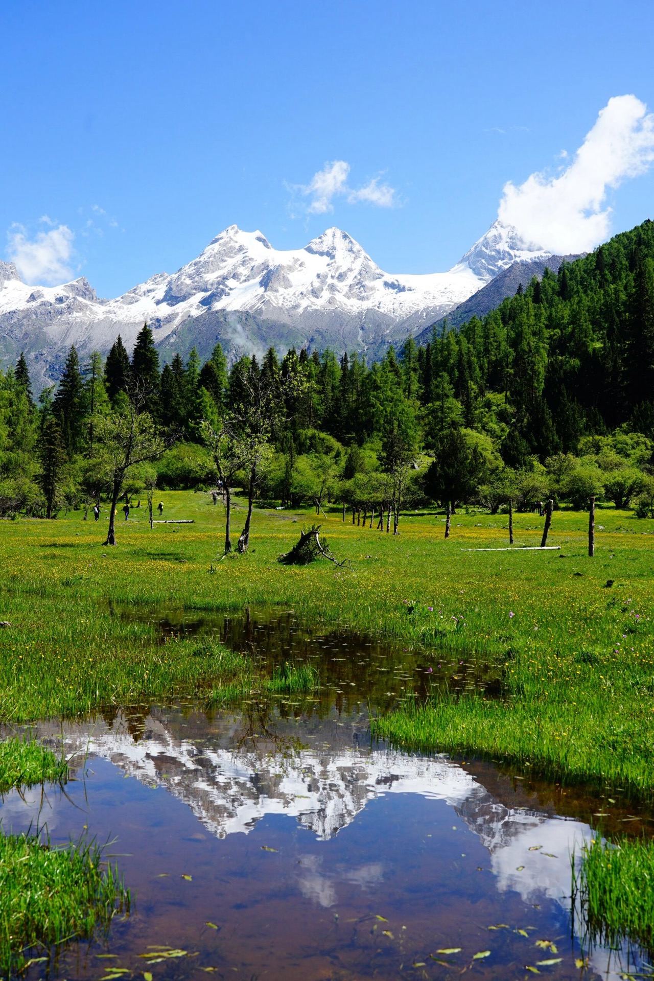 Siguniang snow peaks reflected in an alpine meadow stream — Bipeng descent