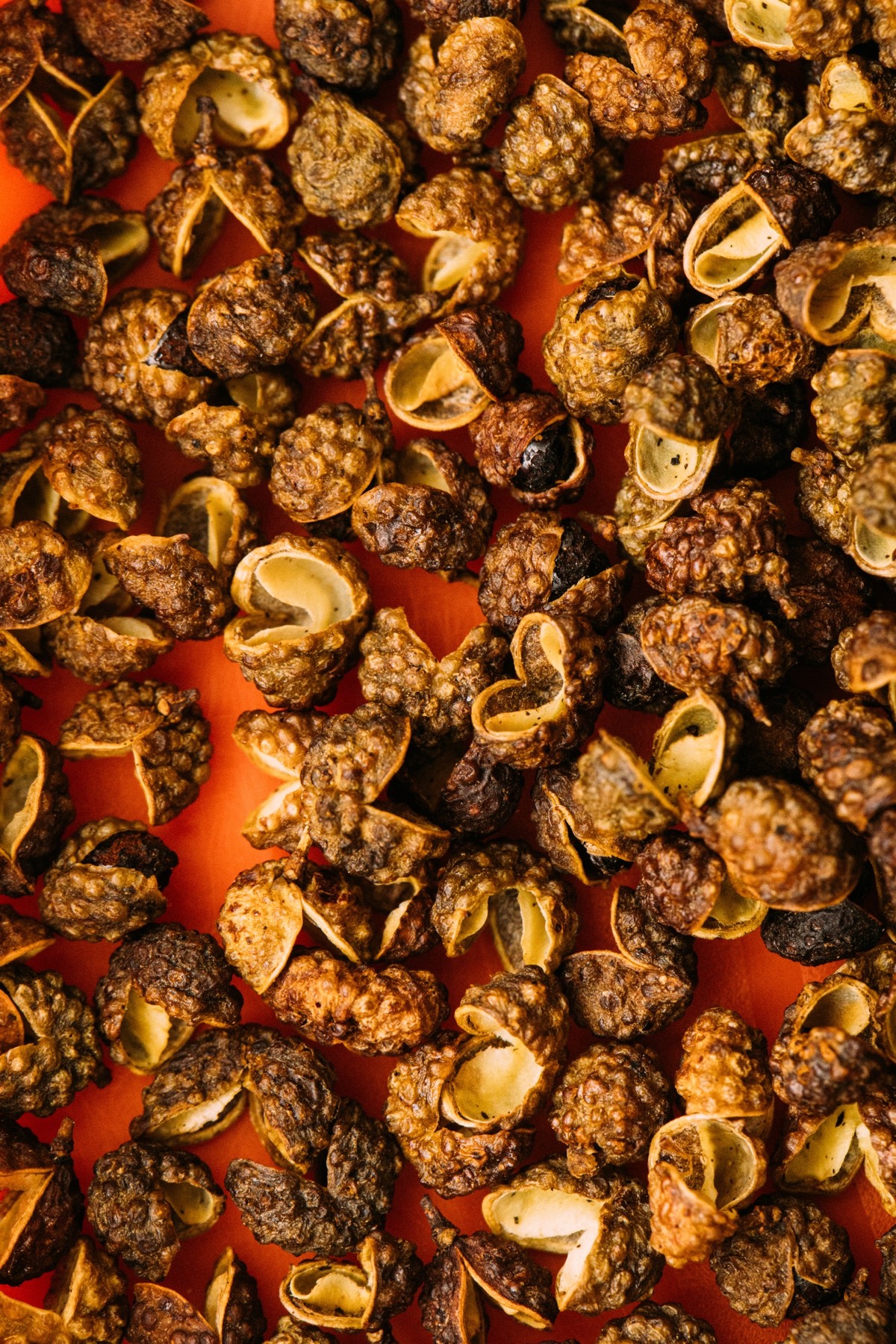 Close-up of dried Sichuan peppercorns, their reddish-brown husks split open, scattered on an orange surface.