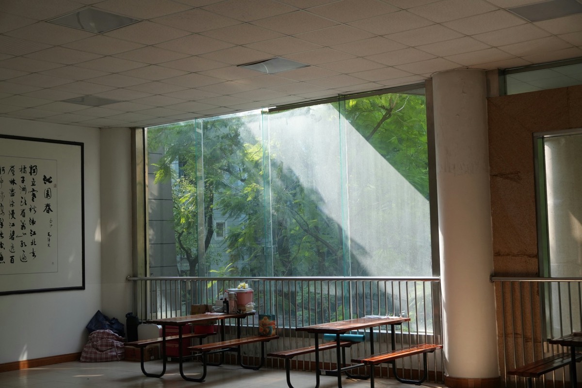 Sunlit indoor canteen with wooden bench tables, a Chinese calligraphy scroll and a large window onto green trees.