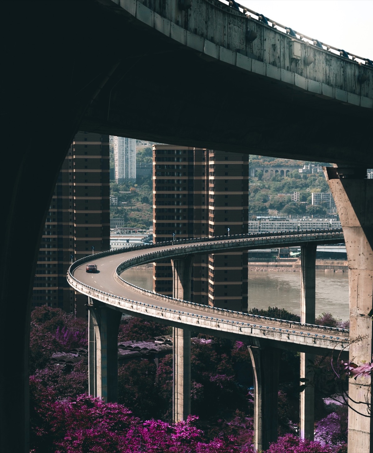 Curving elevated highway sweeping past riverside apartment towers and pink blossoms beneath a concrete flyover in Chongqing.
