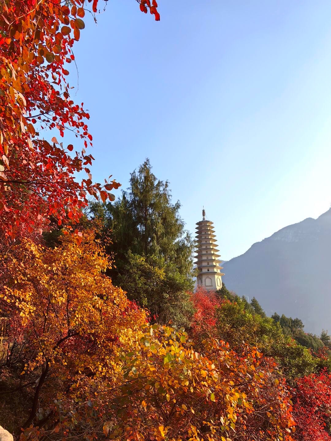 Tiered pagoda rising above fiery red and gold autumn foliage against a clear blue sky and mountain ridge near Chongqing.