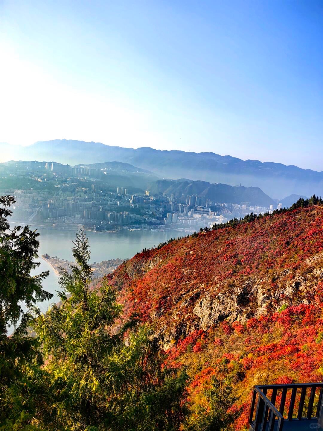 Red-leaved hillside overlooking the river and a hazy riverside city seen from a Chongqing gorge viewpoint.