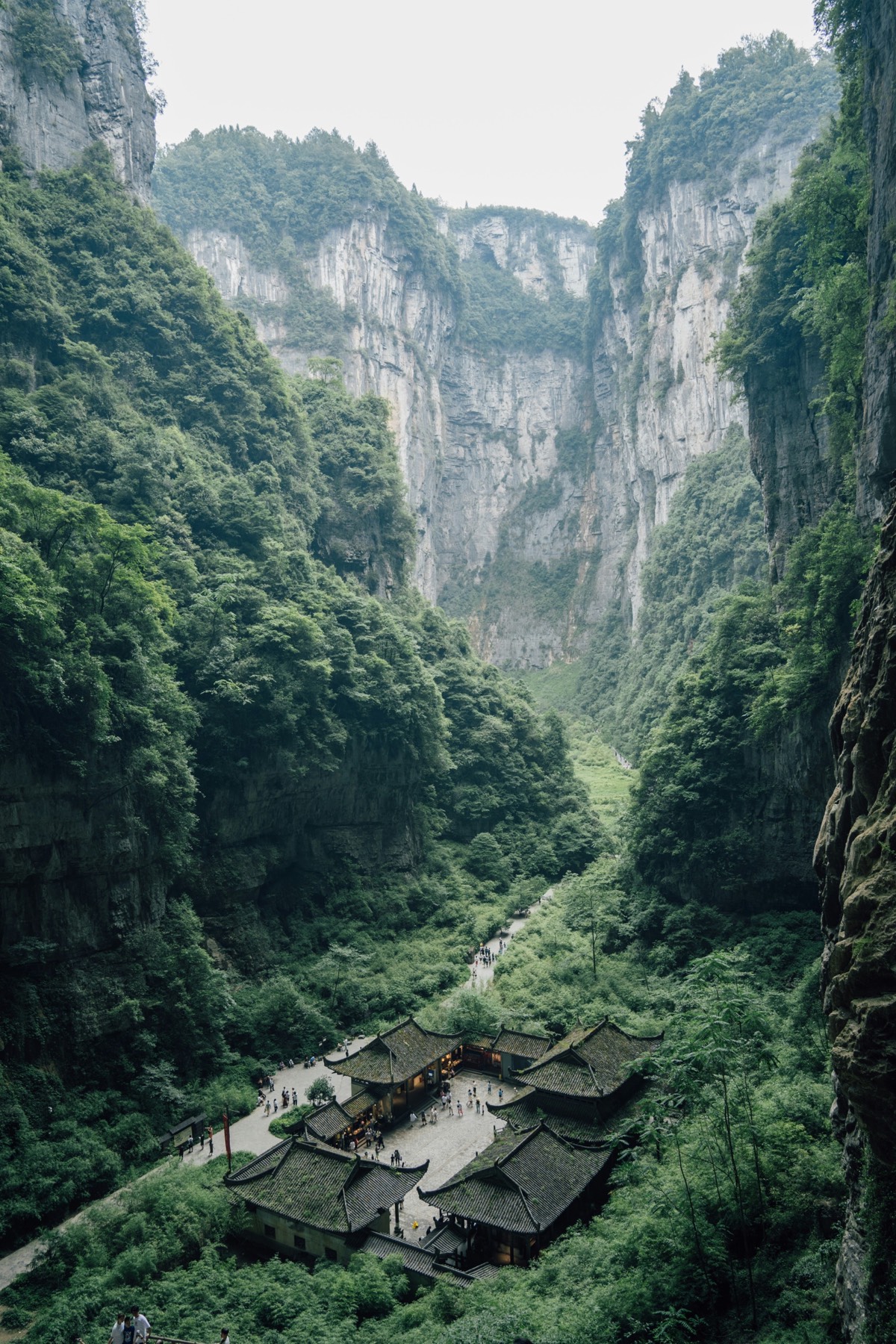 Traditional tiled-roof temple courtyard set deep in a green Wulong karst gorge below towering limestone cliffs.