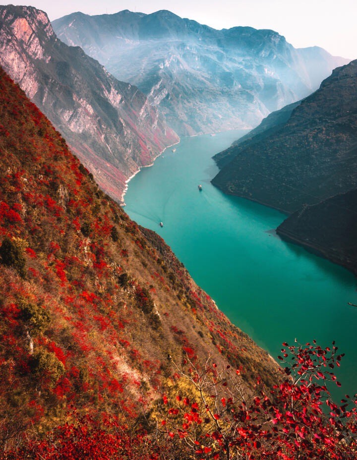 Turquoise Yangtze river winding between steep gorge cliffs draped in crimson autumn foliage near Chongqing.