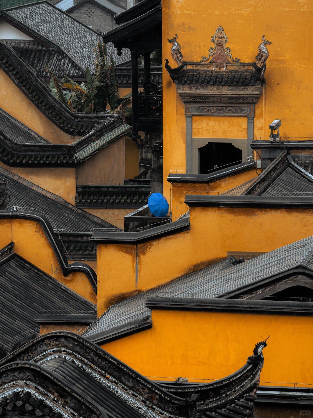 Golden-yellow temple walls and layered grey-tiled roofs with a lone blue umbrella tucked among the eaves in Chongqing.
