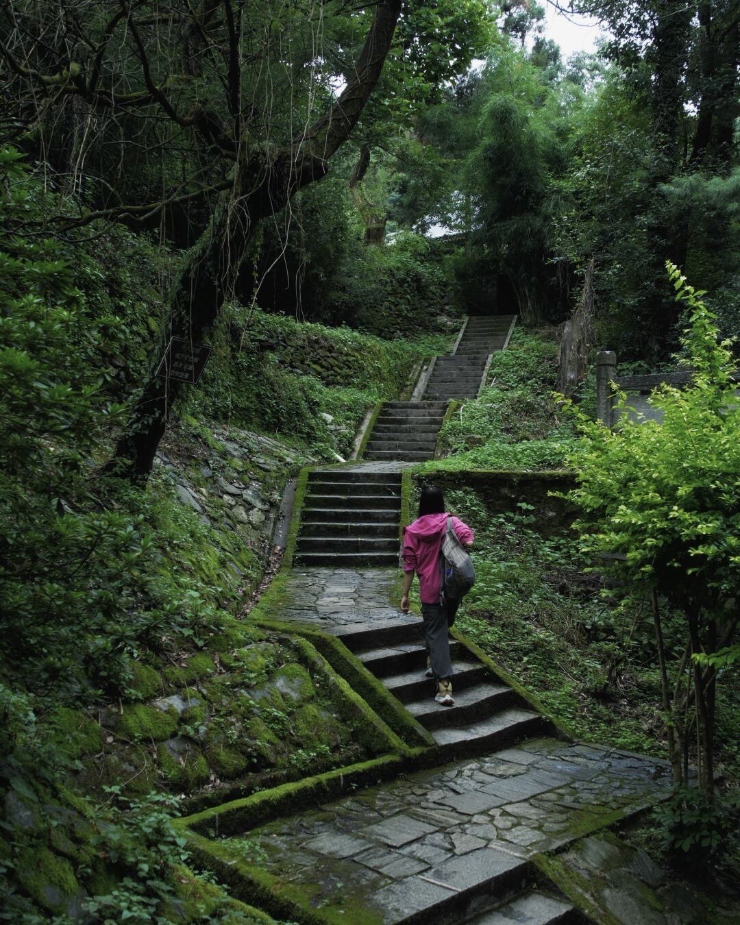 A hiker climbs moss-lined stone steps through lush green forest on Cang Mountain near Dali.