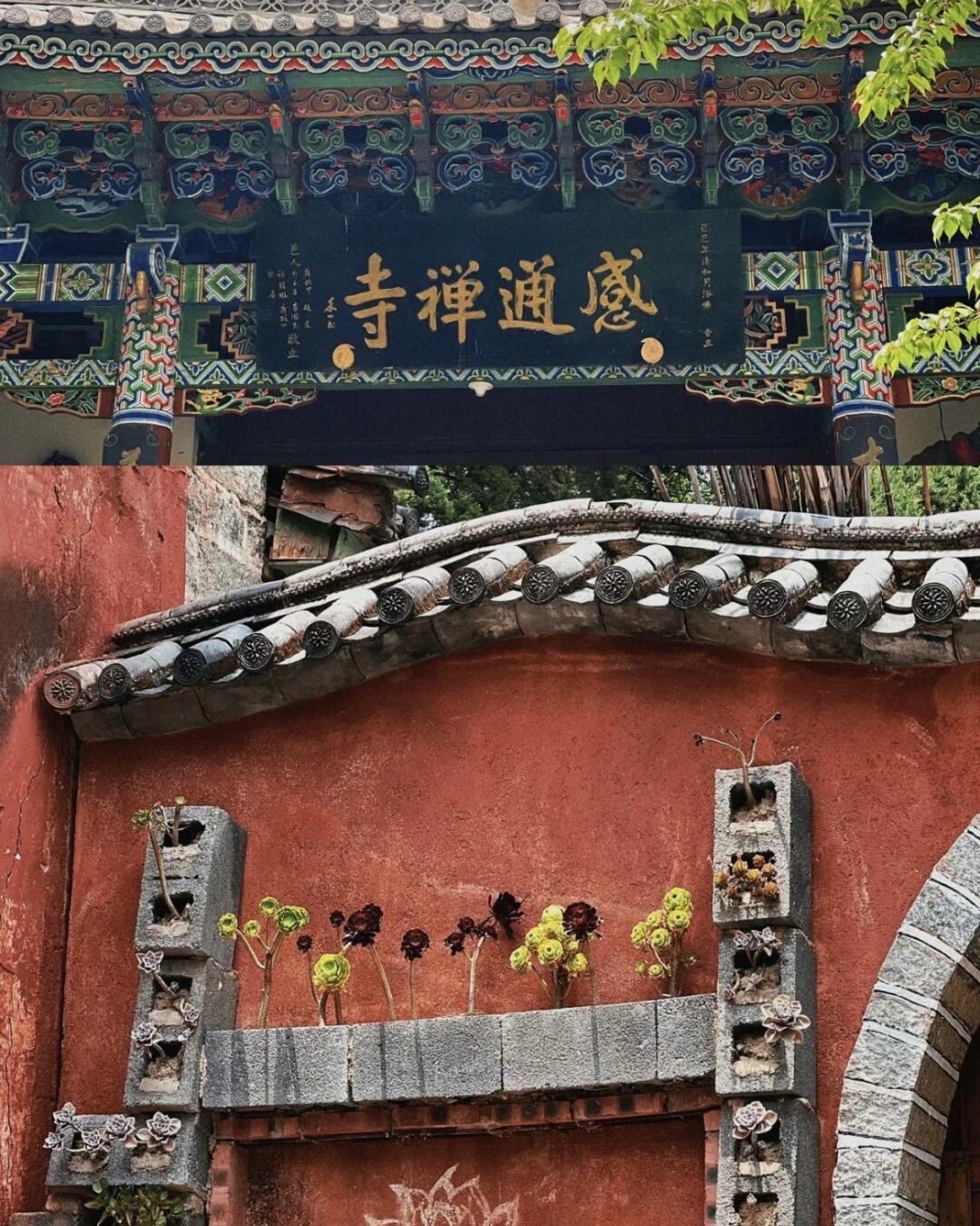 Ornately painted temple eaves with a gilded plaque above a curved tiled ridge and succulent-topped red wall on Cang Mountain, Dali.