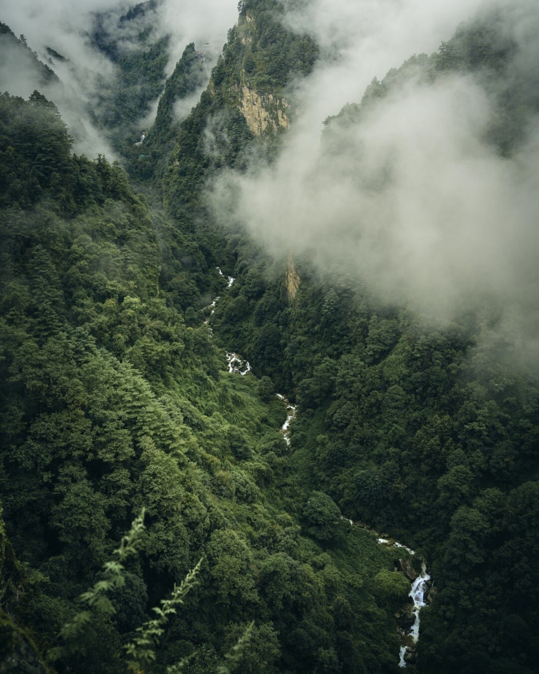 Mist drifting over the steep forested slopes of Cang Mountain near Dali, with a white cascade tumbling through the green valley.