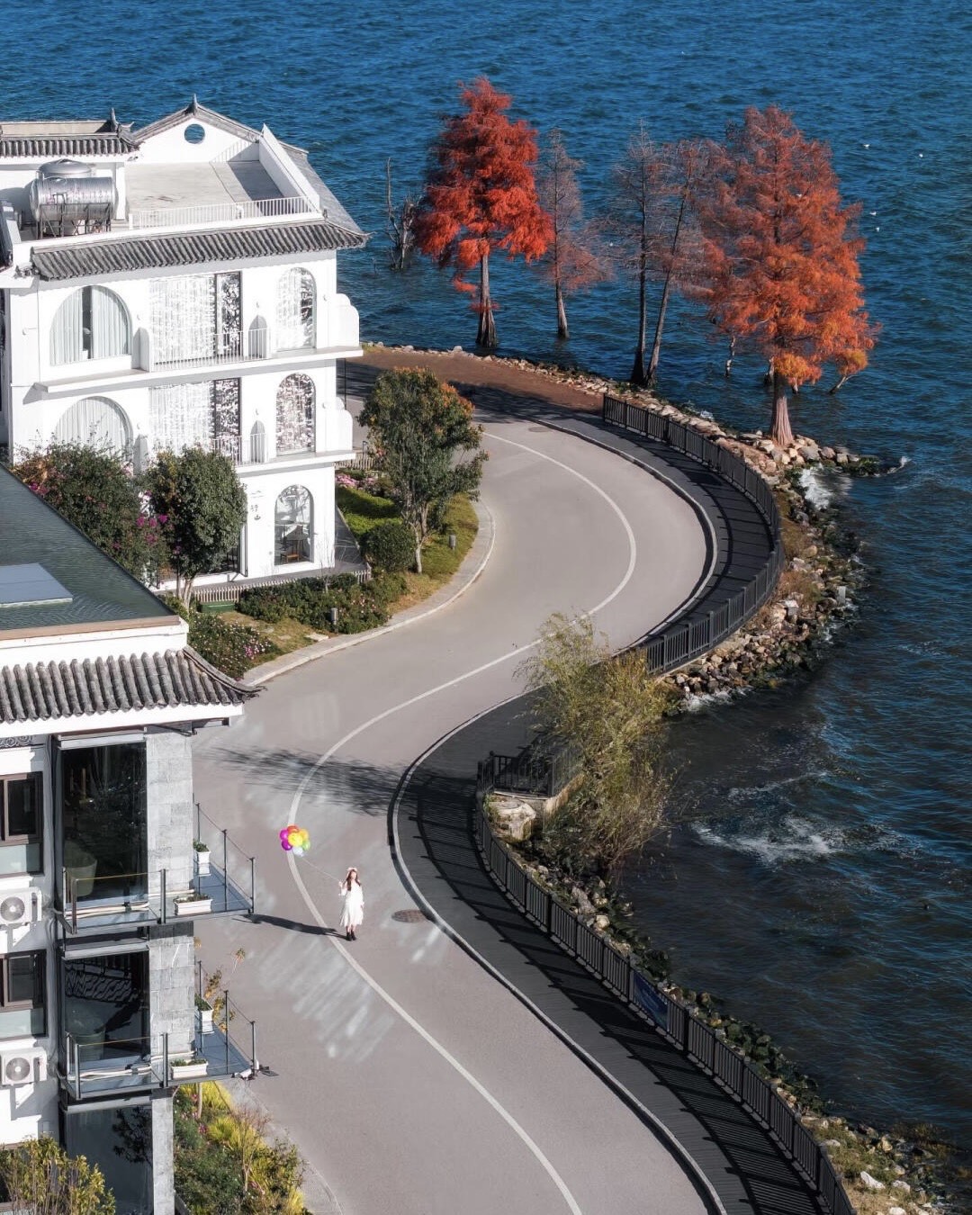 Curving lakeside road beside white villas and red-leaved cypress trees on the shore of Erhai Lake.