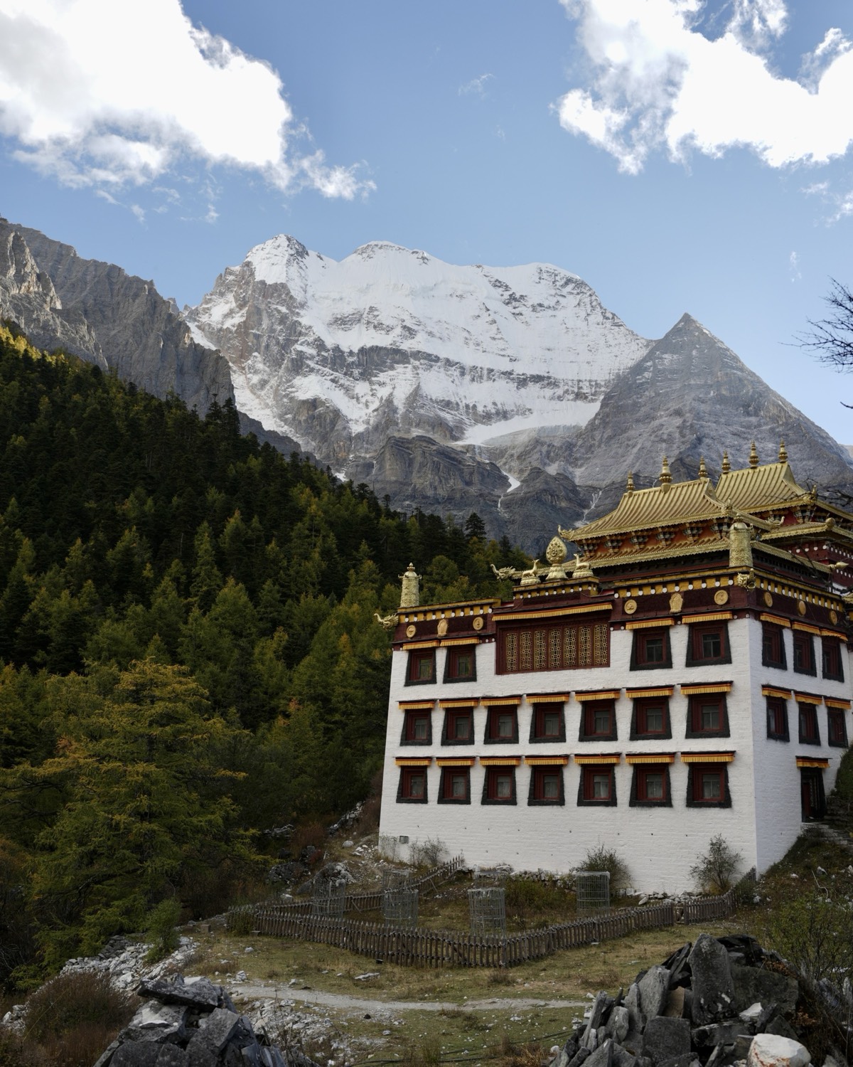 White Tibetan monastery with golden roofs on the Yading short kora, set against a towering snow-covered peak and pine forest.