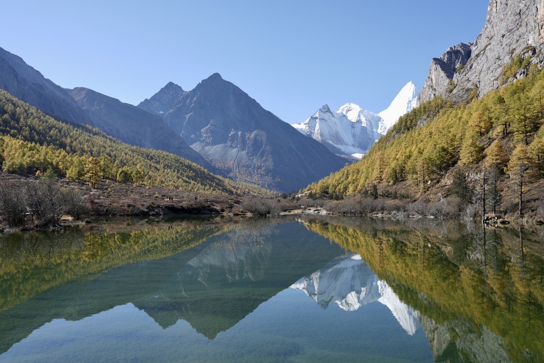 Daocheng Yading's sacred snow peak mirrored in a still milk-blue kora lake ringed by golden autumn larches — hero image for the West Sichuan Sky Road private tour by Boutique China