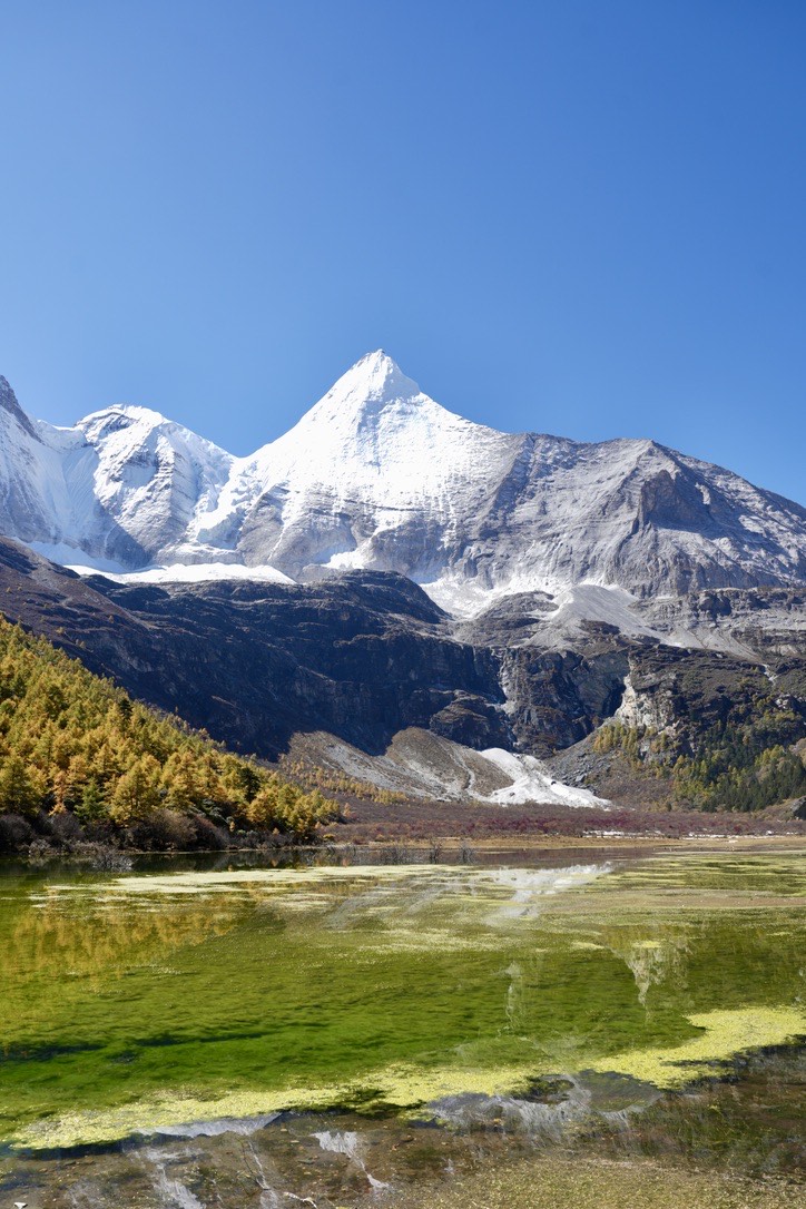Xiannairi peak rises above an alpine meadow at Daocheng Yading — the onward leg south