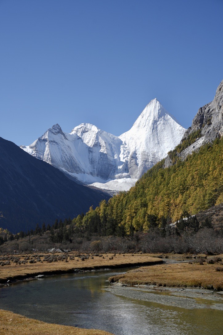 Snow peaks above an autumn larch meadow and braided stream on the Yading long kora