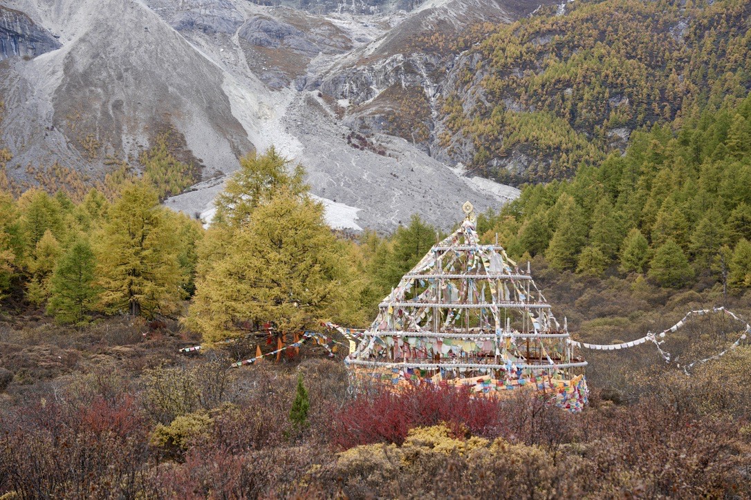 Colourful prayer-flag shrine among autumn larch forest below grey mountain slopes on the Yading short kora, Daocheng.