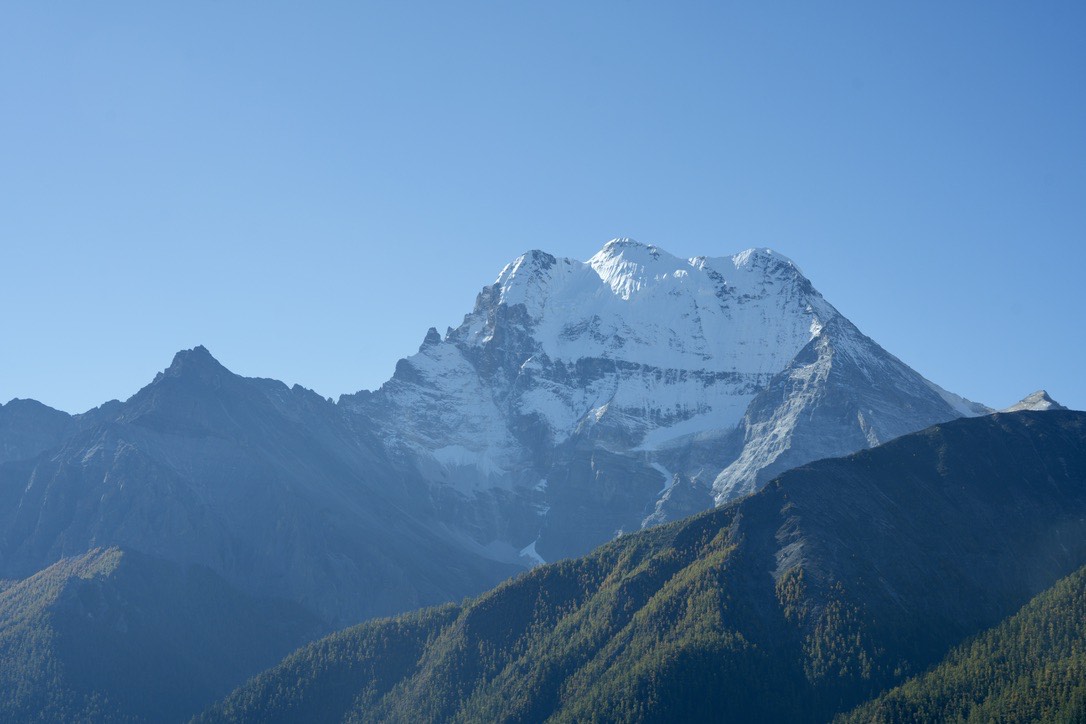 Snow-capped peak rising above forested ridges under a clear blue sky, seen from Yading Village, Daocheng.