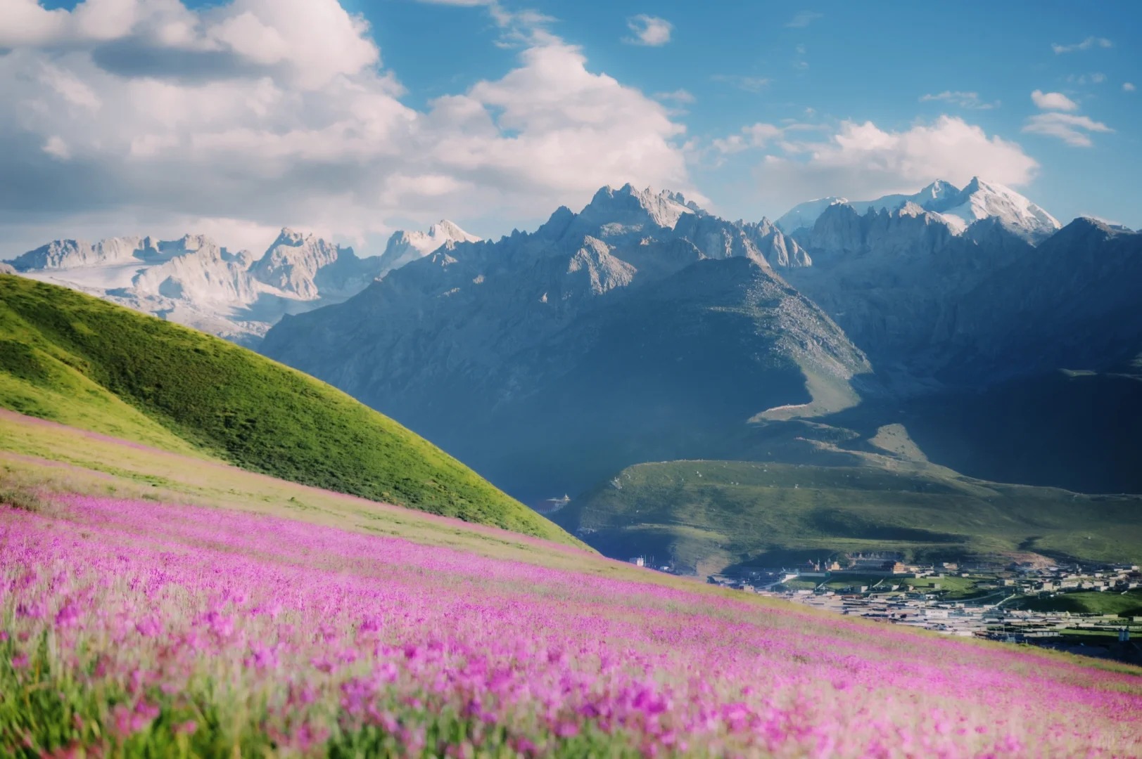 Pink wildflower meadow under jagged snow-capped peaks — the Genie massif in summer, hero image for the Genie South Route trek by Boutique China