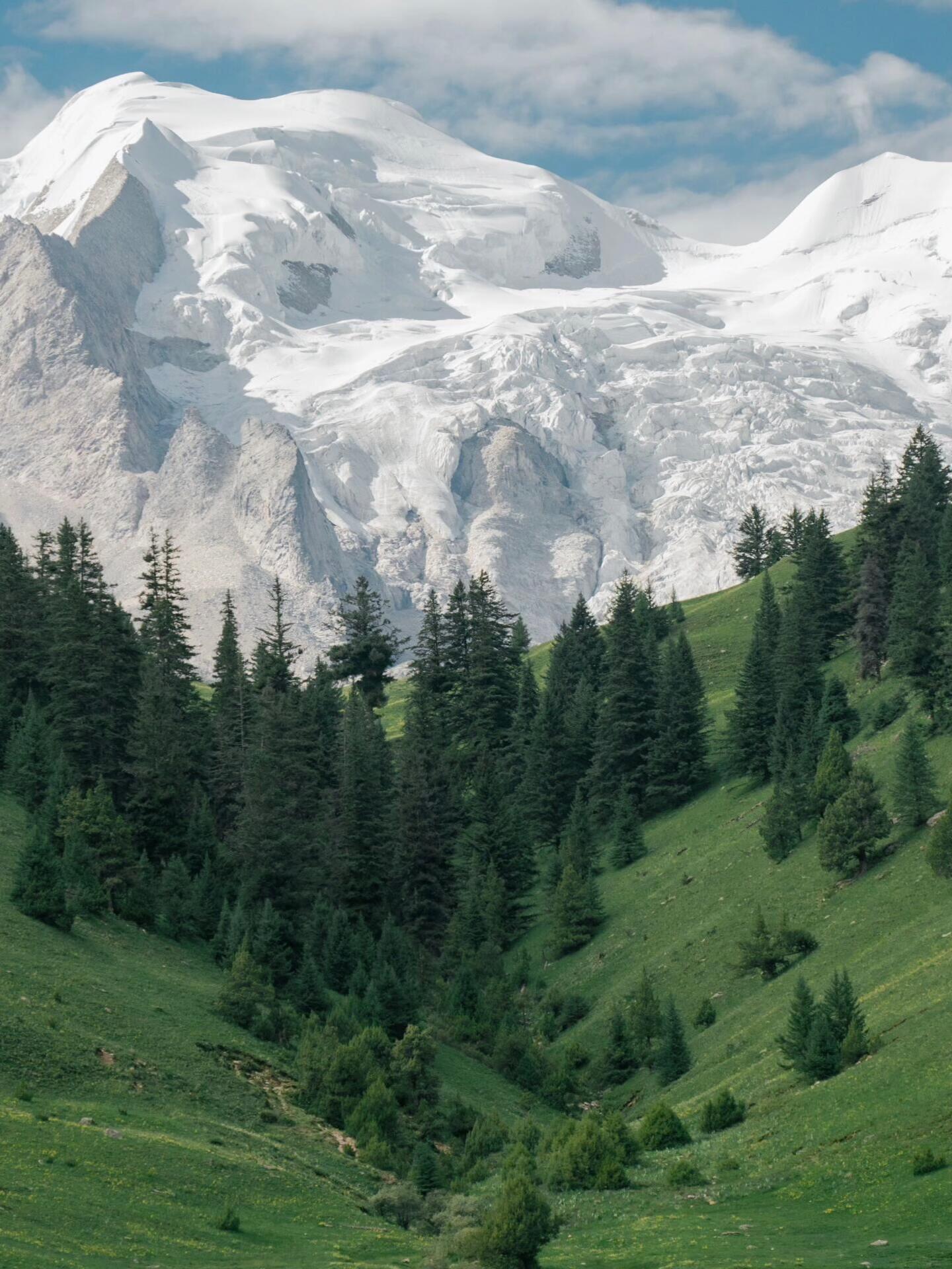 Second angle on Mt Genie — the massif rising steeply above the grassland plateau