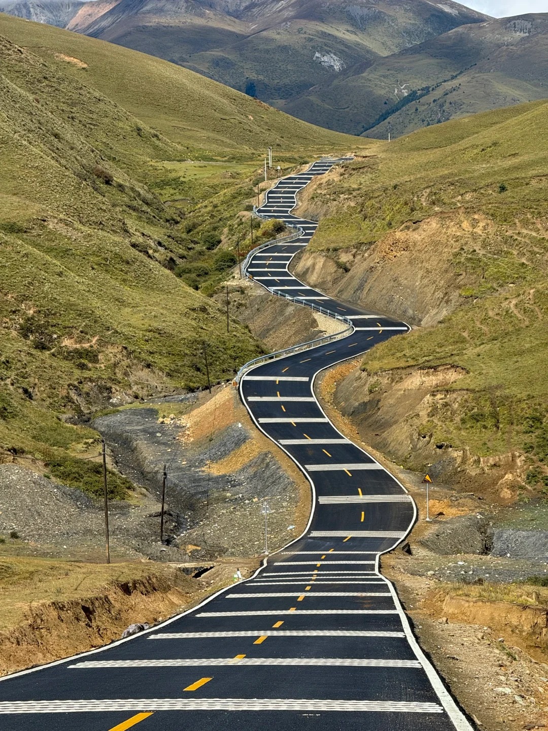 Ribboned blacktop winding through emerald grass hills on the Genie-to-Daocheng drive