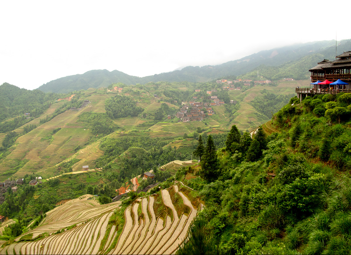 Morning mist drifting over the Longji terraces (龙脊梯田) past a timber viewing platform, Guilin