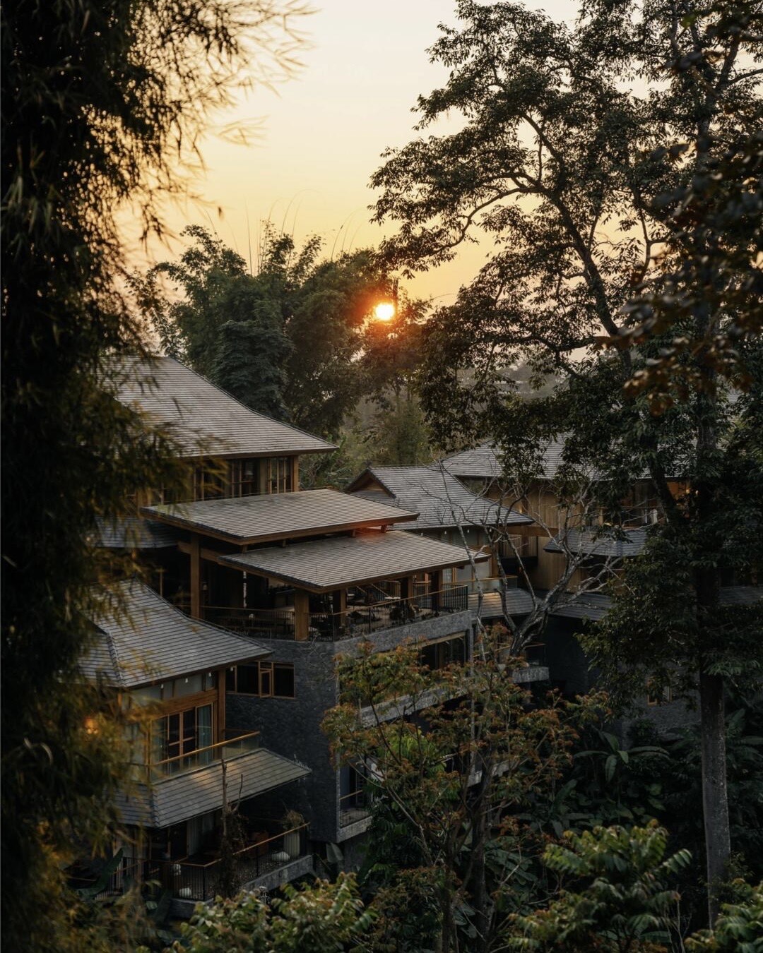 Terraced timber-and-stone lodge with grey tiled roofs surrounded by forest at sunset on Jingmai Mountain.