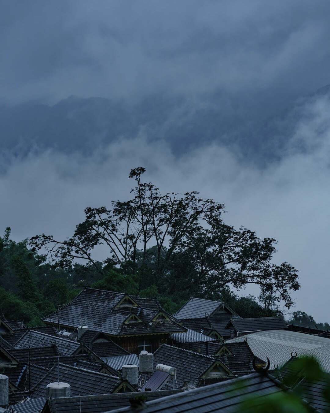Tiled rooftops of a Jingmai Mountain village below a tree and forested slope shrouded in low mist at dusk