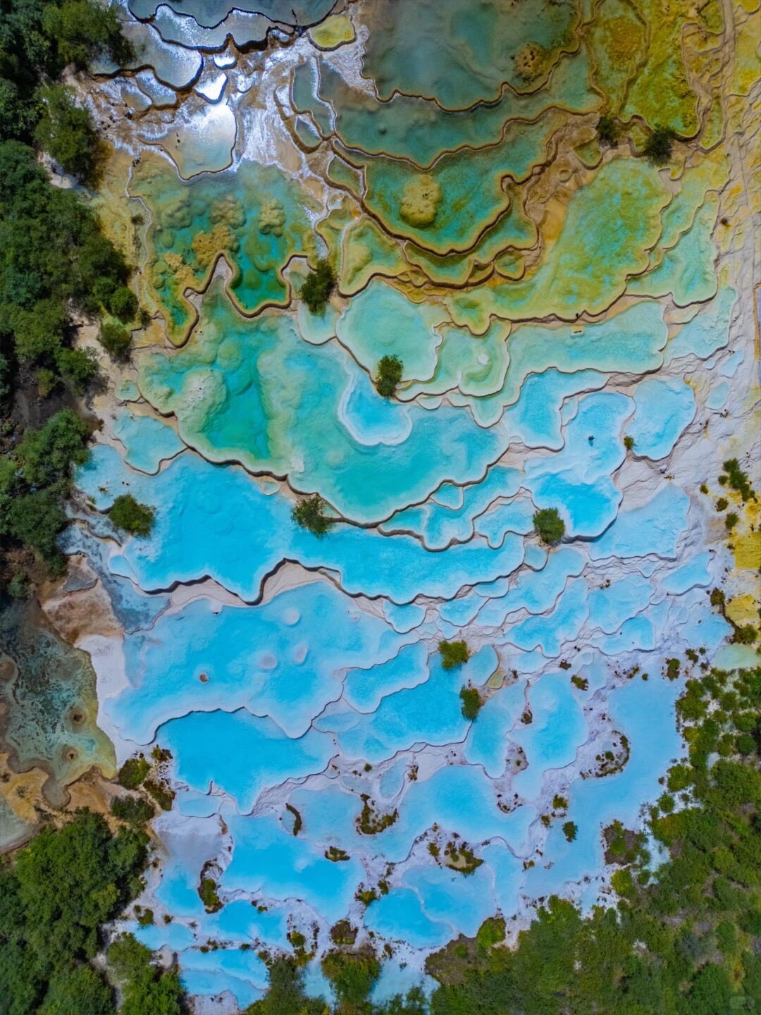 Aerial of Huanglong's Five Color Pool travertine field — brilliant turquoise pools against green forest canopy