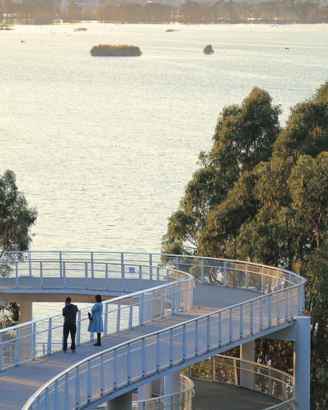 Two people on a curving white lakeside skywalk overlooking Dianchi Lake and reed islets in soft golden light.