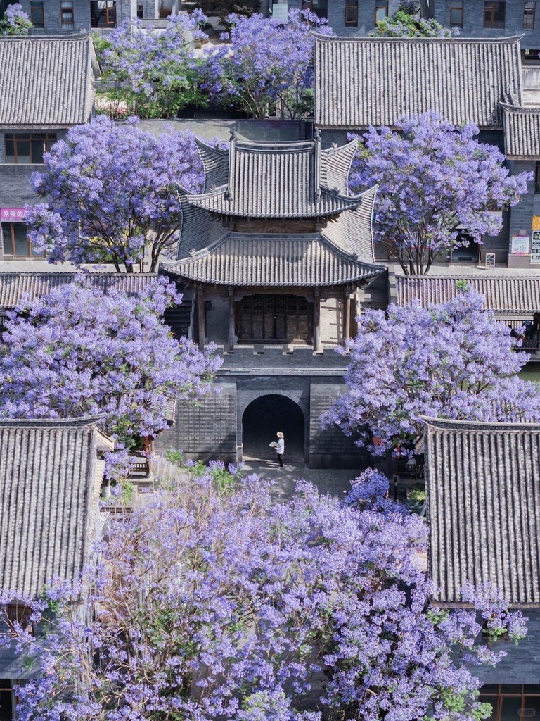 Purple jacaranda trees in full bloom framing a traditional tiled gateway building in Kunming's old town.