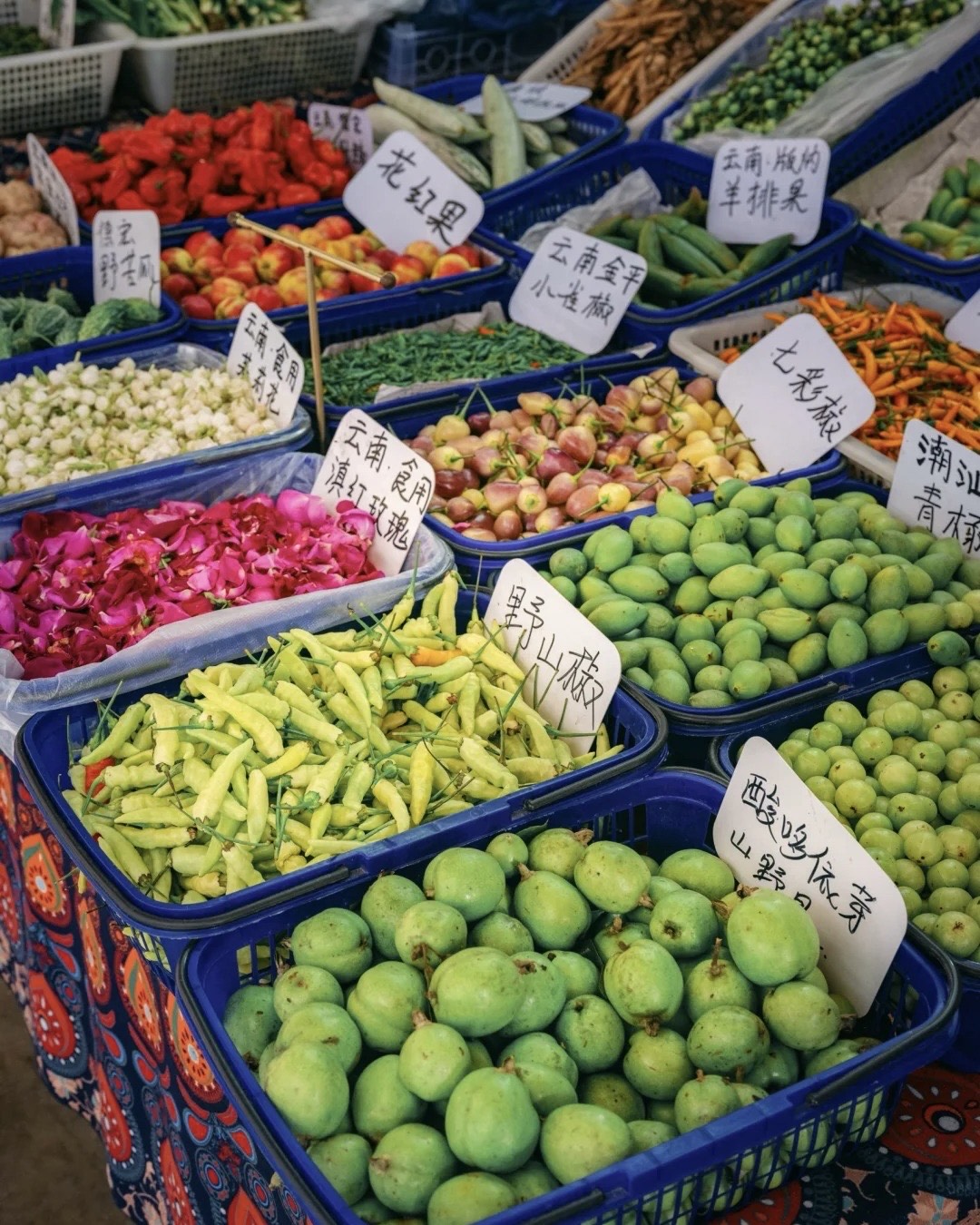 Blue baskets of fresh chillies, green fruit, rose petals and jasmine at a Kunming produce market with handwritten labels