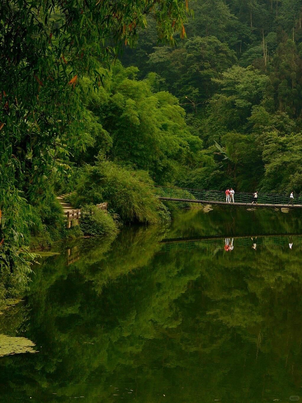 Hikers crossing a suspension bridge over a calm green river below lush forest near Mount Emei.