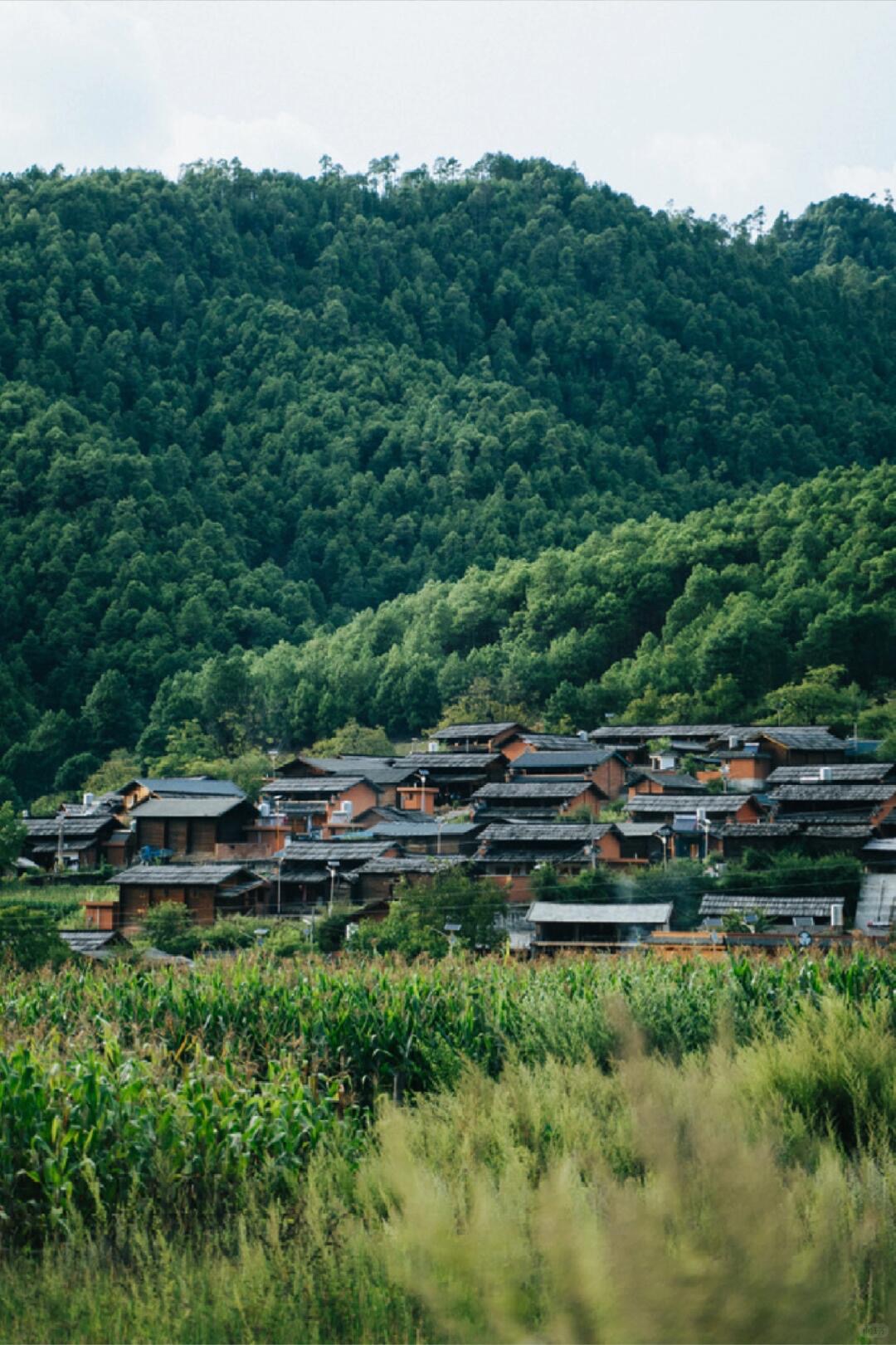 Wooden-house village stepped into the Mekong gorge above Cizhong — China's Last Frontier loop