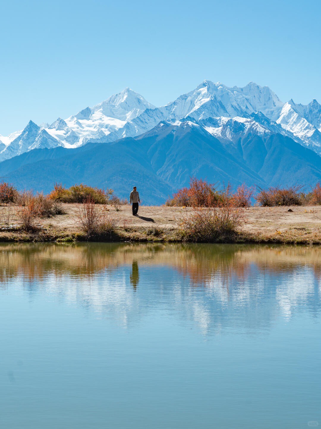 Lone walker by a still lake reflecting snow-capped peaks and autumn-red shrubs on a Shangri-La trek.