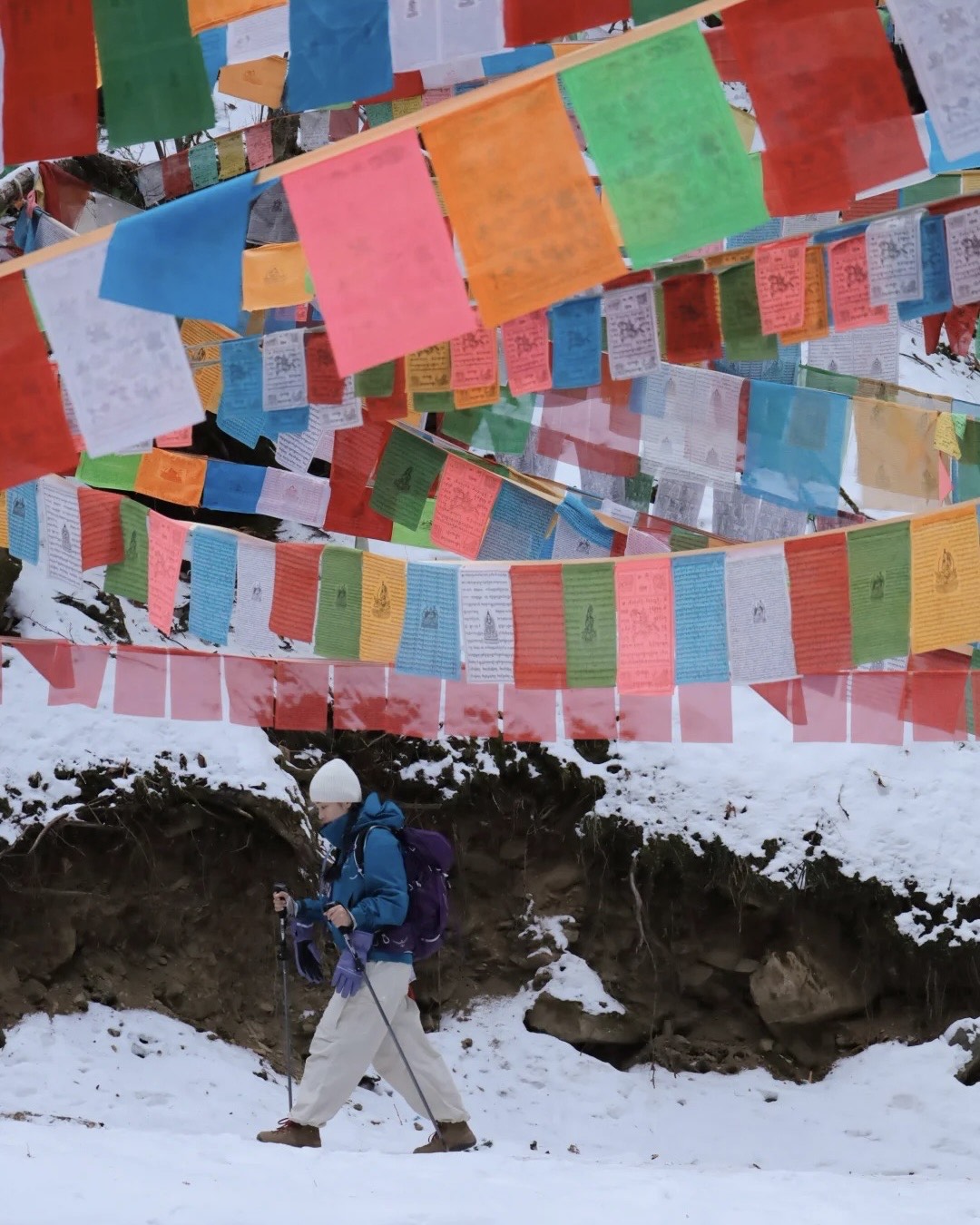 Hiker with trekking pole walks through snow beneath dense strands of colourful Tibetan prayer flags on the Yubeng trek near Shangri-la.