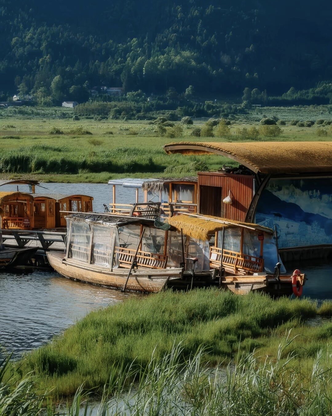 Traditional thatched-roof wooden boats moored at a wetland dock beside reed grass and green marshland below forested hills.