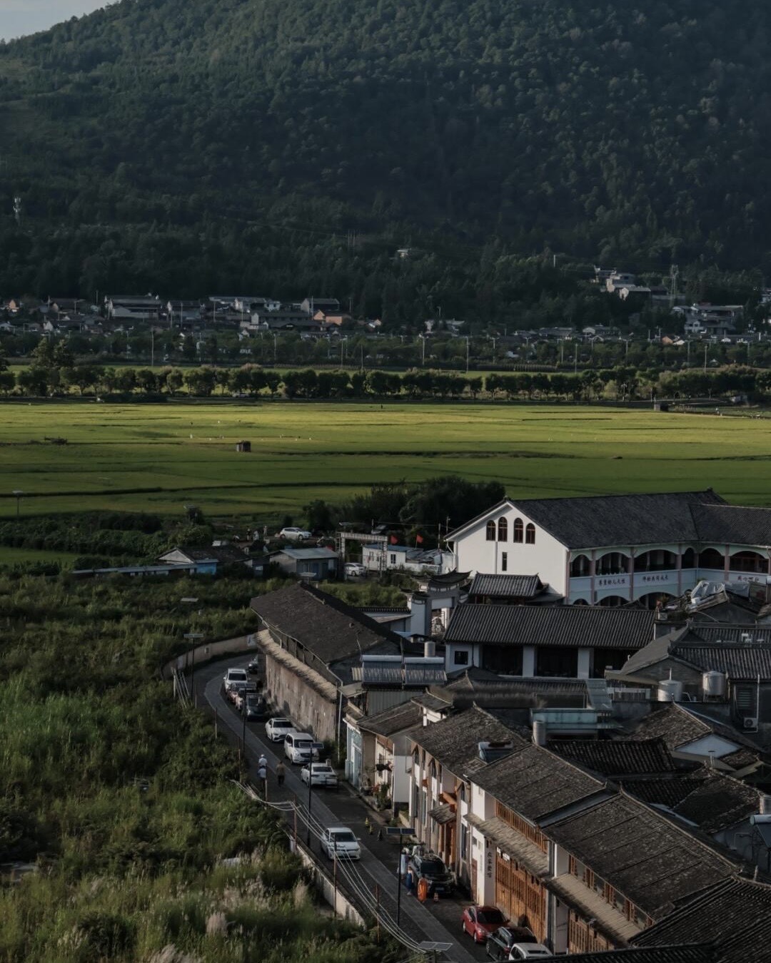Grey-tiled rooftops of Heshun Ancient Town beside green rice fields and a forested hillside in Tengchong.