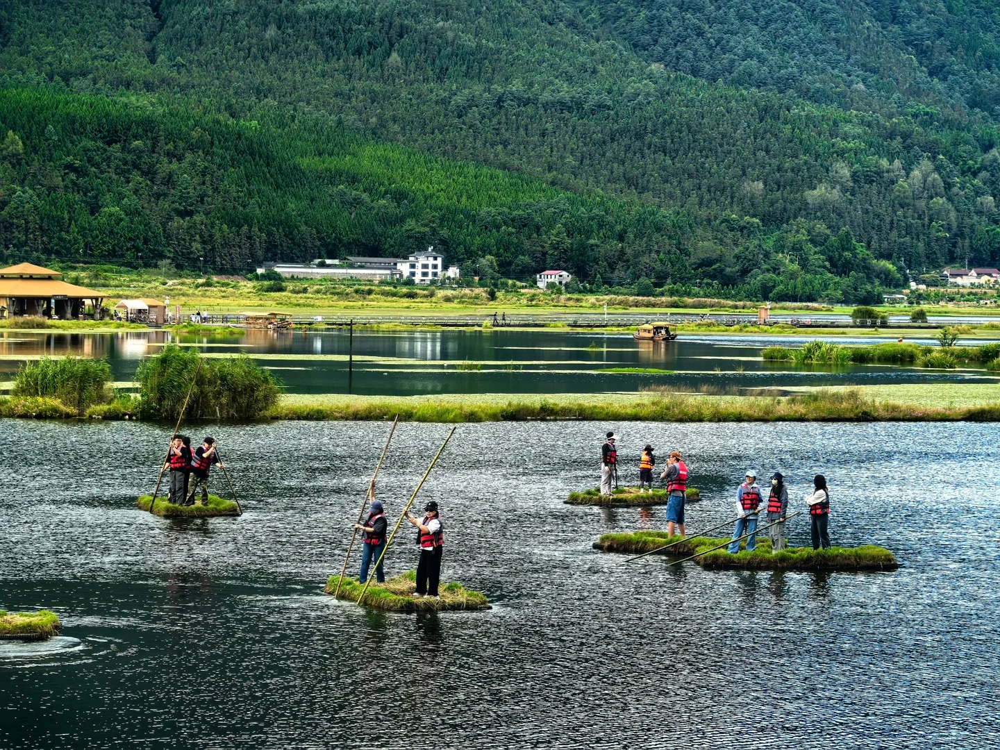 Floating-grass rafts on Beihai Wetland — the local way to approach the bird hides