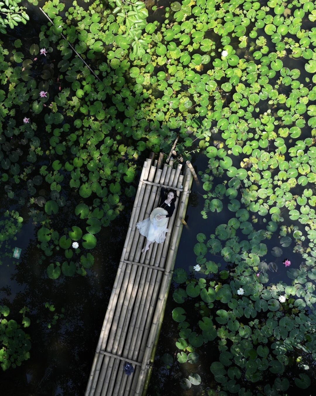 Aerial view of a woman lying on a bamboo raft on a dark pond covered with green lily pads and blooms.