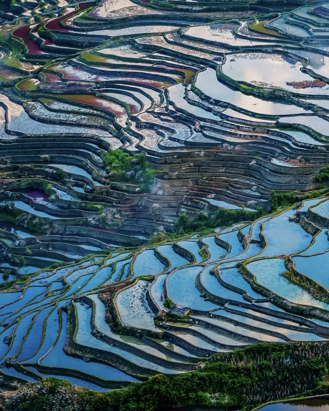 Aerial view of Yuanyang's flooded rice terraces, their curving water-filled paddies reflecting silver, blue and red hues.