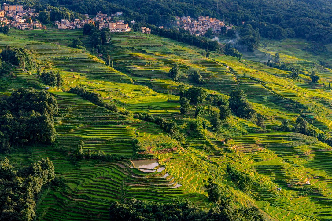 Dawn light over the Hani rice terraces at Yuanyang below the Ailao Mountains — the southern Yunnan tour