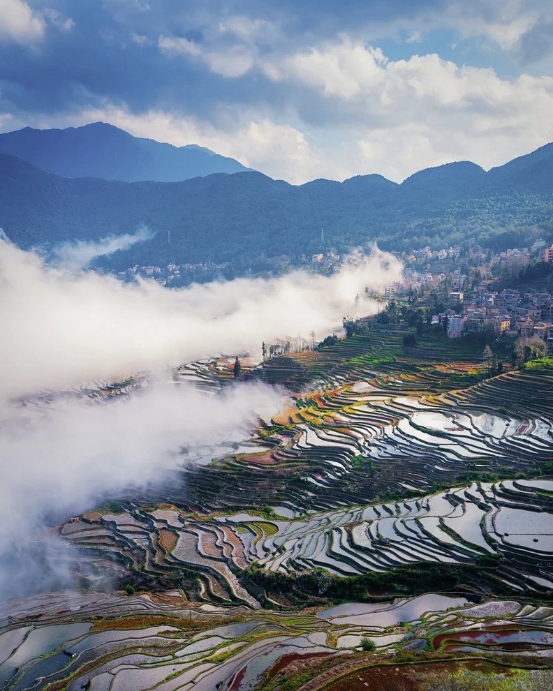 Low cloud drifts over Yuanyang's reflective rice terraces below a hillside village and layered blue mountains.