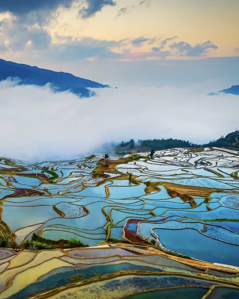 Yuanyang's colourful water terraces stretch below a rolling sea of clouds and distant mountains at first light.