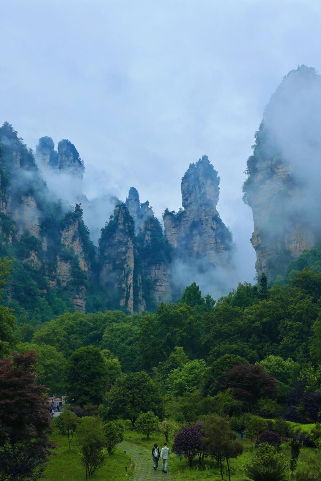 Couple walking a garden path toward towering mist-shrouded sandstone peaks rising above dense green forest.